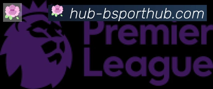 Bsports官网合作伙伴