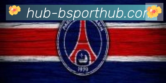 Bsports官网合作伙伴